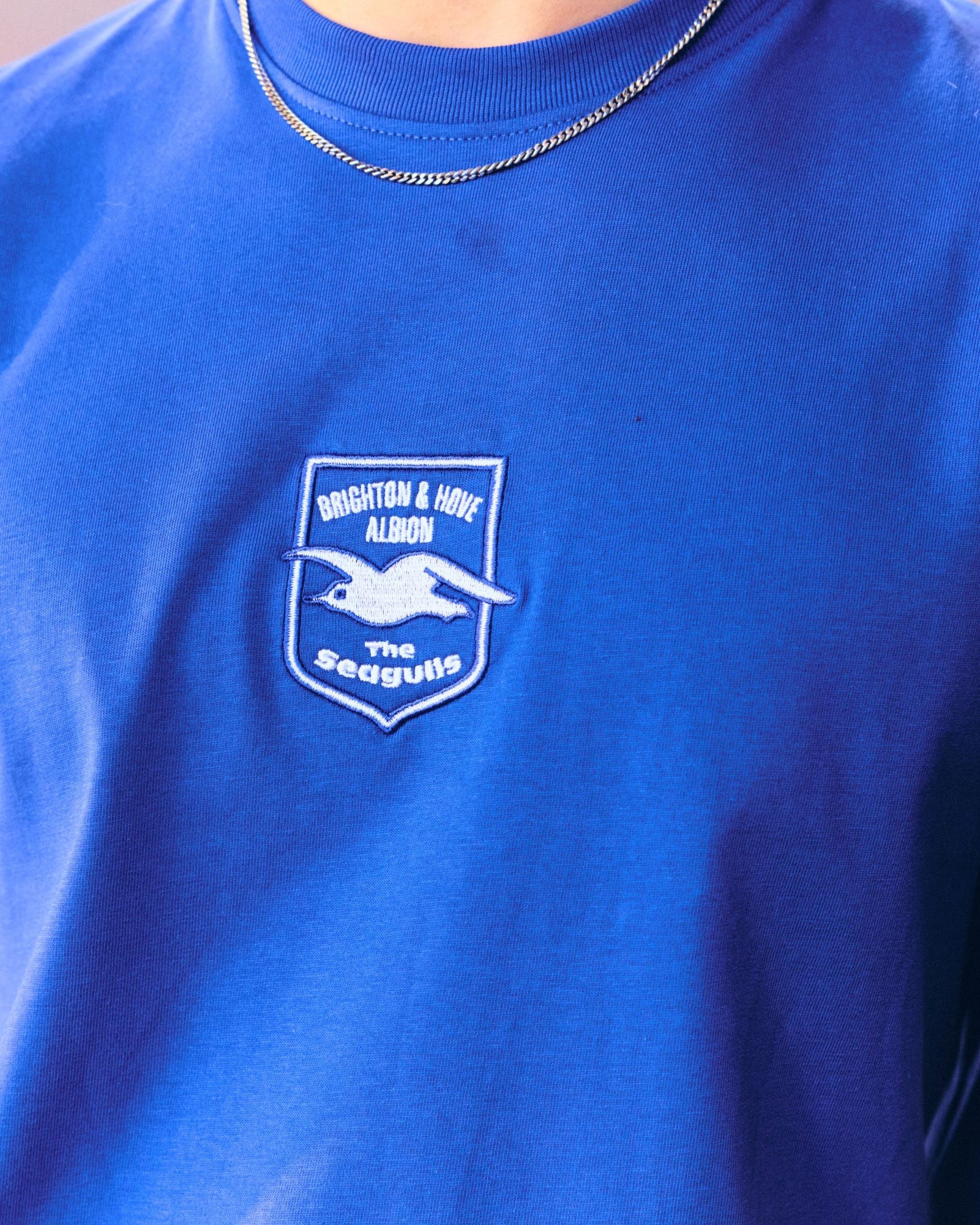ART OF Brighton & Hove Albion Embroidered Blue Tee | Football T-shirt