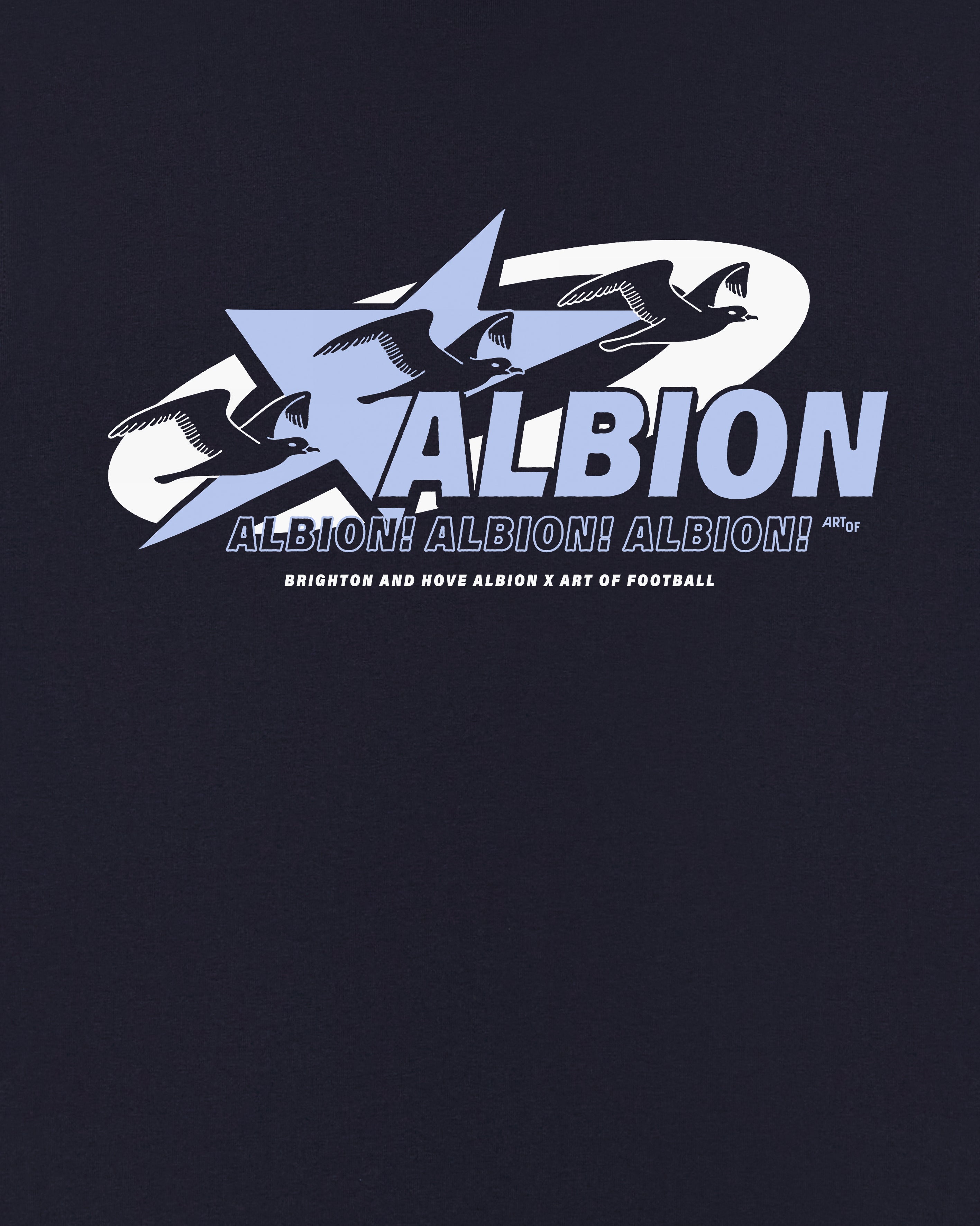 ART OF x Brighton 00s Graphic Tee | BHAFC Navy Football T-shirt